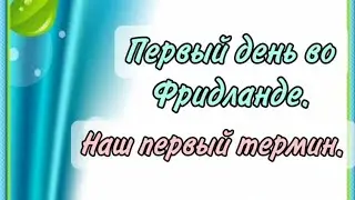 Первый день во Фридланде. Наш первый термин. #Фридланд #термин #первыйдень #первый #лагерь #переезд
