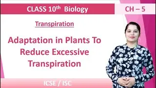 Adaptation in Plants To Reduce Excessive Transpiration