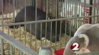 Farmers donate to ALS cure