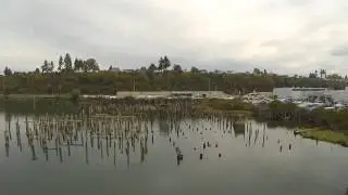 3DR Solo Gimbal Test Footage