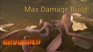 Max Damage Crossbow Build DESTROYS! - Grounded