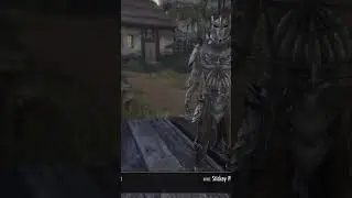 Npc funny dialogue #gameplay #eso #elderscrollsonline #npc #funny