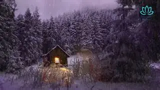 Das einsame Haus im verschneiten Wald - The Lonely House in the Snowy Forest