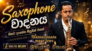 Thaniwennata mage lowe Saxophone playing By Srimal D Vithana