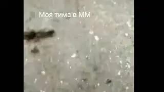Коротко о моей тиме в standoff 2