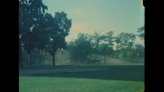 Adelaide - Anyone I know (music video)