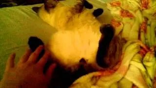 VID 20150218 105153