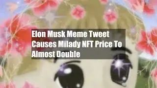 Elon Musk Meme Tweet Causes Milady NFT Price To Almost Double