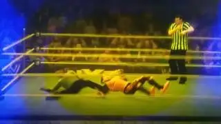 SPECIAL REFEREE MATCH