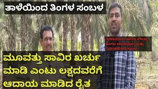 Oil palm ... ತಾಳೆಯಿಂದ ಬದುಕು ಬಂಗಾರ ಮಾಡಿಕೊಂಡ ರೈತ, ನಿರ್ವಹಣೆ ಕಮ್ಮಿ ಅಧಿಕ ಲಾಭ