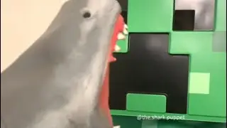 SHARK PUPPET PLAYS MINECRAFT!!!!!