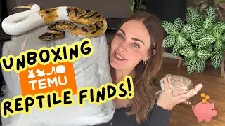 Unboxing & Reviewing Temu Reptiles Finds (Major Black Friday Savings!)