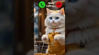 nody calling✨🤙viral 🔥ringtone mi#🤙viralshortvedeo#yt#short#vedeo#cute#cat#nody#calling#mi#ring#call#