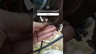 Кроме зажигания и фары, ничего не работает #motorcycle #help #shorts #automobile