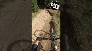 DOWNHILL SFL 🇦🇹 #shorts  #mtb  #youtube #funny #shortsvideo #shortsfeed #viral