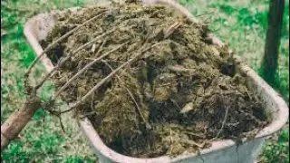 aBonO natura// de chivo[como se conseguir el abono natural chivo] el mejor abono natural del 🌎 🌎