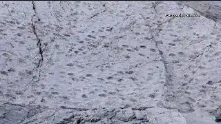 Photographer finds thousands of dinosaur footprints near Italian Winter Olympic venue