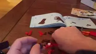 Lego 21301 Birds Time Lapse