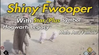 Hogwarts Legacy - Shiny Fwooper Male And Female With Star/Plus Symbol