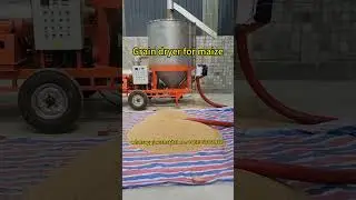 Maize dryer for sale | corn dryer machine | grain drying machine in work #dryer #maize #corn #grain