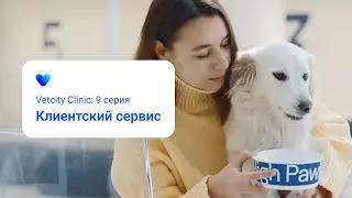 Vetcity Clinic: 9 серия. Клиентский сервис