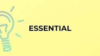 What is the meaning of the word ESSENTIAL?