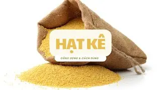 Khám phá 7 công dụng đặc biệt của hạt kê