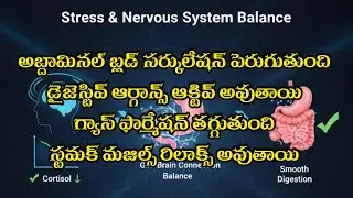 🌿🌿 గ్యాస్ ట్రబుల్ 🌿🌿  || 🔥🔥 Magnetic Therapy For 𝗚𝗮𝘀 𝗧𝗿𝗼𝘂𝗯𝗹𝗲  In Telugu   ?  #biomagneticmattress