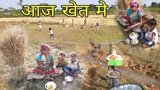 today in the field rice potato curry eating | Ramesh village family