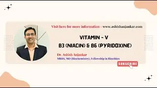 Vitamin - V - B3 (Niacin) & B6 (Pyridoxine)