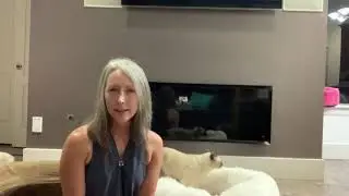Holistic Cat Health:  Proactive vaccine detox tips | Purrrfectly Holistic