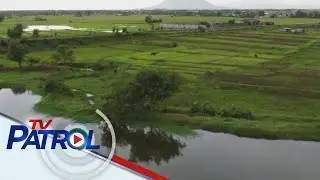 KBYN: Isdang cream dory matagumpay na napaparami sa Nueva Ecija | TV Patrol