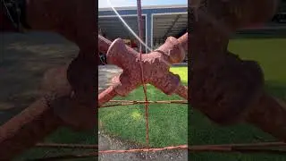 #whynot #gate #rabbit #australia #because #aussieart #flogon #sunshine #sunshinegate