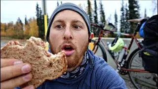 EATING SANDWICH'S NEXT TO WILD BISON
