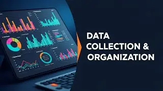 Essential Guide to Data Collection & Organization | Boost Your Data Literacy