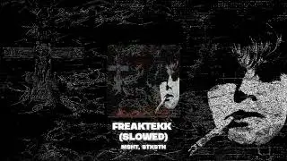 msht, STXSTN - FREAKTEKK (Slowed)