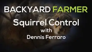 Squirrel Control 2021