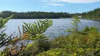Fast walk through the Pond Path