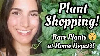 BIG BOX STORE PLANT SHOPPING!! Finding RARE PLANTS at Home Depot?! 😲