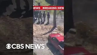 Jack Teixeira, suspect allegedly connected to leaked Pentagon docs, taken into custody #shorts
