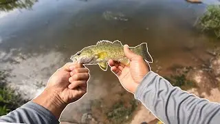 Fishing for Smallmouth Bass in James River RVA