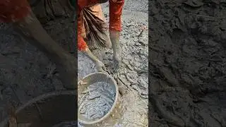 কাঁদা ছালিয়ে বাইম মাছ ধরার কৌ'শল।
