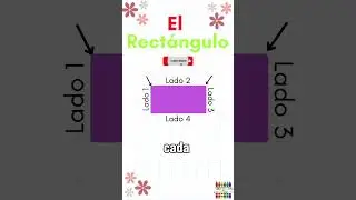 El Rect&aacute;ngulo #matem&aacute;ticas #school #tutorial #tutoriales #tutorials #educaci&oacute;n #escuela #shorts