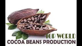 Top World COCOA Area Harvested (Hectare) | Food Agriculture Organization Time Series