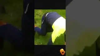 Duck chases man😂