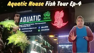 Aquatic House a new shipment arrived Ep-4 | Exotic Fish Tour | VortexWajji