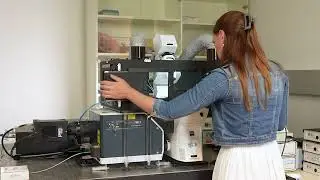 Precision Imaging with 3i Spinning Disk Confocal-Sample loading and location (Part2)