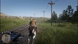 Red Dead Redemption 2 (/Chapter 2\) {Grizzlies} (+Flatneck Station+) [Who Is Not Without Sin]