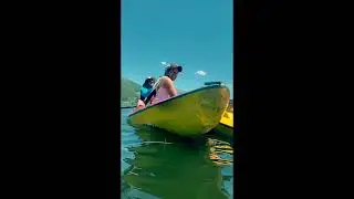 Field Edit- Freshwater Ecology