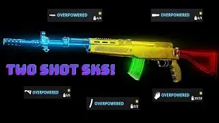 THE 2 SHOT SKS IS BROKEN IN WARZONE!!!